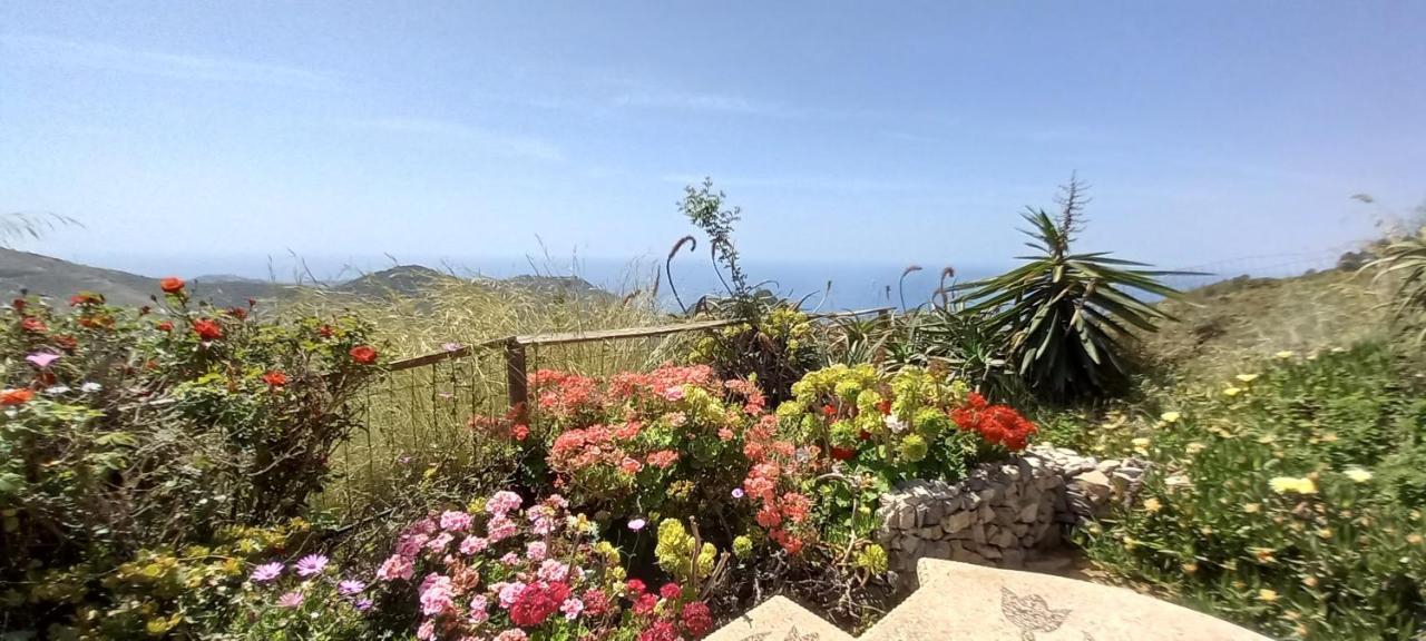 Finca Mariposa Mariposaholidays Nerja Extérieur photo